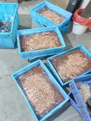 ราคาดี CuNi10/CuNi30 Copper Nickel Alloy Strip High Conductivity Corrosion Resistant for Marine & Industrial Use ออนไลน์